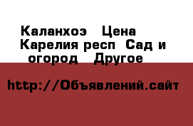 Каланхоэ › Цена ­ 1 - Карелия респ. Сад и огород » Другое   